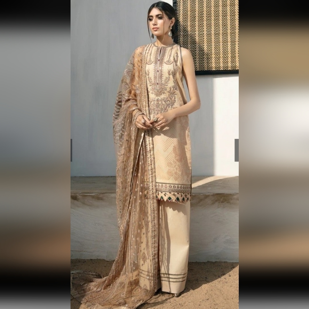 Pakistani Indian dress